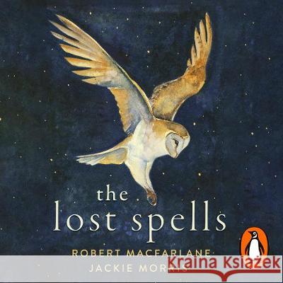 The Lost Spells: An enchanting, beautiful book for lovers of the natural world Jackie Morris 9780241481028