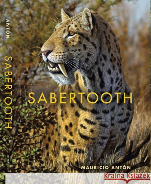 Sabertooth Mauricio Anton 9780253010421 Indiana University Press