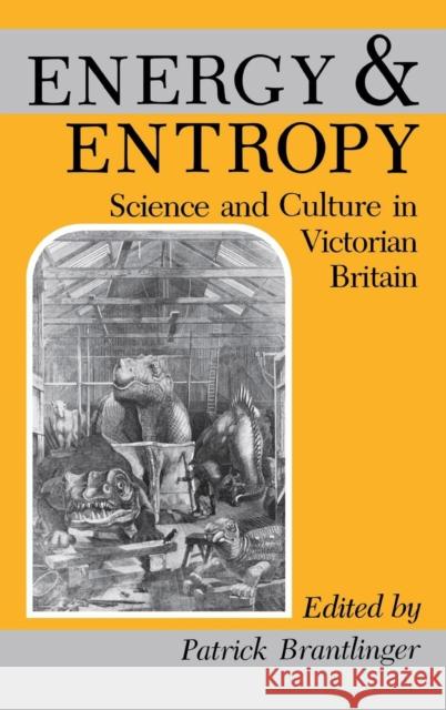 Energy and Entropy: Science and Culture in Victorian Britain Brantlinger, Patrick M. 9780253319289 Indiana University Press