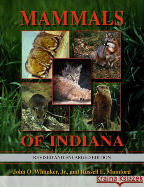 Mammals of Indiana, Revised and Enlarged Edition Russell E. Mumford 9780253349712 Indiana University Press