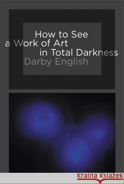 How to See a Work of Art in Total Darkness Darby English 9780262514934 MIT Press (MA)