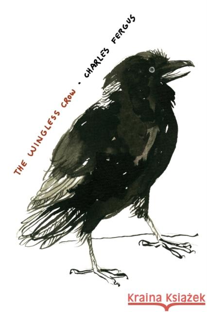 The Wingless Crow Charles Fergus 9780271033037 Pennsylvania State University Press