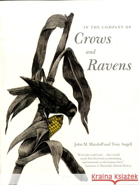In the Company of Crows and Ravens John M. Marzluff Tony Angell Paul R. Ehrlich 9780300122558 Yale University Press