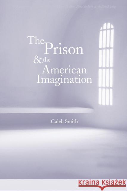 Prison and the American Imagination Smith, Caleb 9780300171495