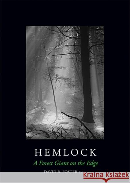 Hemlock: A Forest Giant on the Edge Foster, David R. 9780300179385 Yale University Press