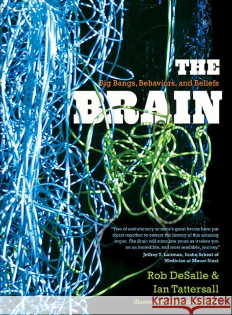 The Brain: Big Bangs, Behaviors, and Beliefs DeSalle, Rob 9780300205725