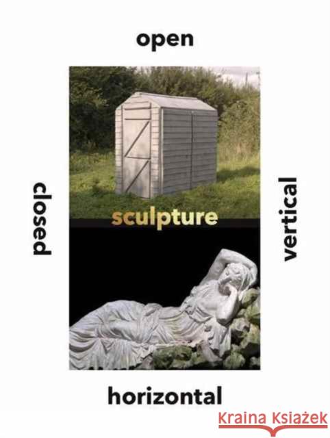 Sculpture Vertical, Horizontal, Closed, Open Curtis, Penelope 9780300227222