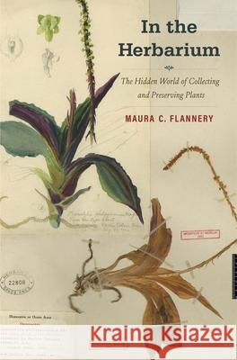 In the Herbarium: The Hidden World of Collecting and Preserving Plants Flannery, Maura C. 9780300247916 Yale University Press