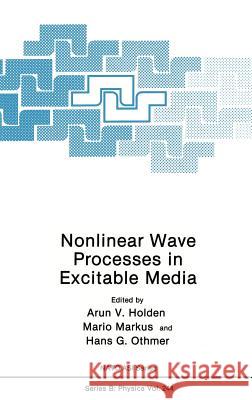 Nonlinear Wave Processes in Excitable Media Holden                                   Arunn V. Holden Mario Markus 9780306438004 Springer