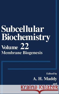 Membrane Biogenesis J. R. Harris James R. Harris A. H. Maddy 9780306445545 Kluwer Academic Publishers
