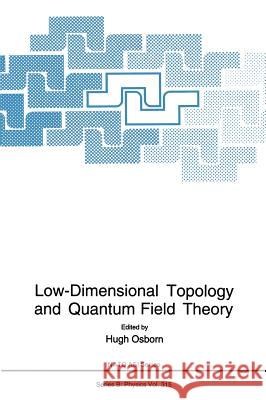Low-Dimensional Topology and Quantum Field Theory Hugh Osborn 9780306445781 Plenum Publishing Corporation