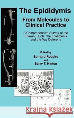 The Epididymis: From Molecules to Clinical Practice: A Comprehensive Survey of the Efferent Ducts, the Epididymis and the Vas Deferens Robaire, Bernard 9780306466847 Kluwer Academic/Plenum Publishers