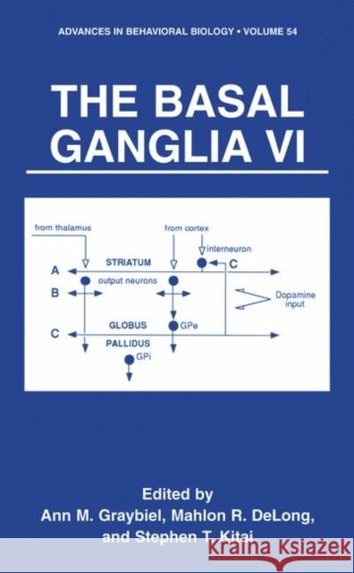 The Basal Ganglia VI International Basal Ganglia Society      Bernard B. Fall Ann M. Graybiel 9780306474996 Kluwer Academic/Plenum Publishers