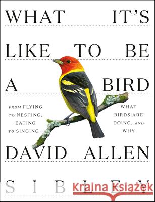 What It's Like to Be a Bird: From Flying to Nesting, Eating to Singing--What Birds Are Doing, and Why Sibley, David Allen 9780307957894