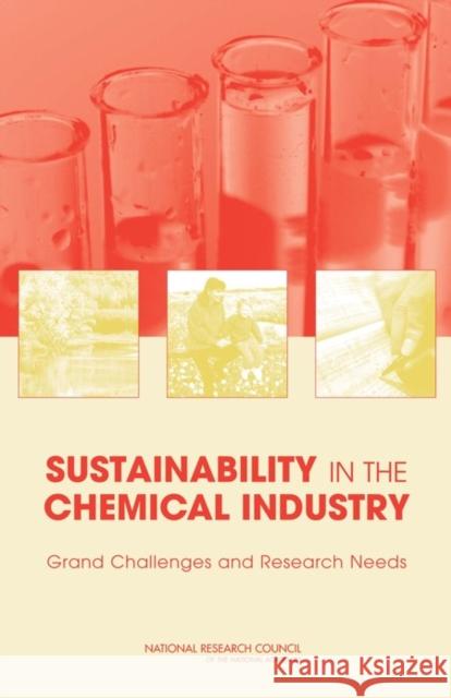 Sustainability in the Chemical Industry: Grand Challenges and Research Needs National Research Council 9780309095716 National Academy Press
