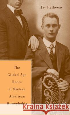 The Gilded Age Construction of American Homophobia Hatheway, J. 9780312234928 Palgrave MacMillan