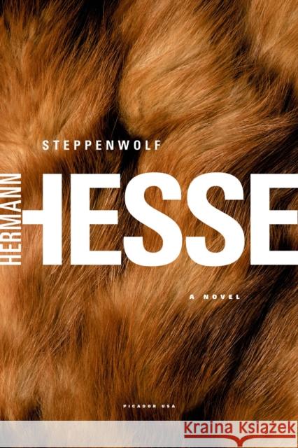 Steppenwolf Hermann Hesse Basil Creighton 9780312278670 Picador USA