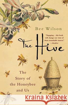 The Hive: The Story of the Honeybee and Us Bee Wilson 9780312371241 St. Martin's Griffin