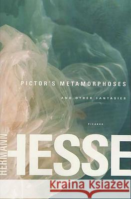 Pictor's Metamorphoses: And Other Fantasies Hermann Hesse Theodore Ziolkowski Rika Lesser 9780312422646 Picador USA