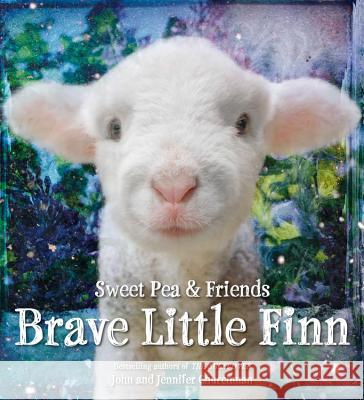 Brave Little Finn Jennifer Churchman John Churchman 9780316273596