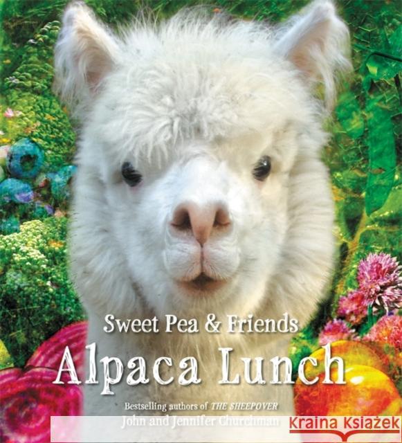 Alpaca Lunch Jennifer Churchman John Churchman 9780316411608