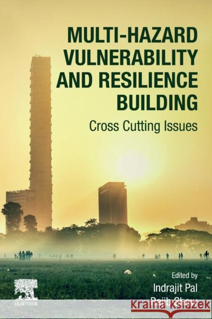 Multi-Hazard Vulnerability and Resilience Building: Cross Cutting Issues Pal, Indrajit 9780323956826