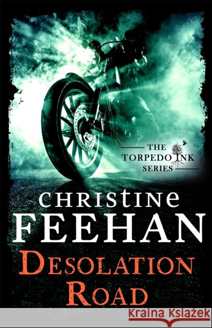 Desolation Road Christine Feehan 9780349426730 Little, Brown Book Group
