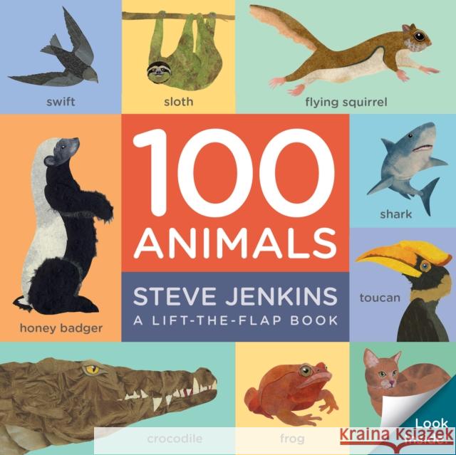 100 Animals Board Book: Lift-The-Flap Jenkins, Steve 9780358105459 Houghton Mifflin