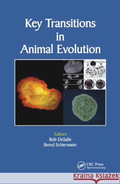 Key Transitions in Animal Evolution Rob DeSalle Bernd Schierwater 9780367383190