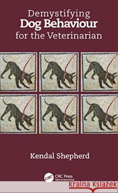 Demystifying Dog Behaviour for the Veterinarian Kendal Shepherd 9780367549916 Taylor & Francis Ltd