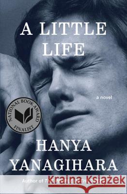 A Little Life Hanya Yanagihara 9780385539258 Doubleday Books