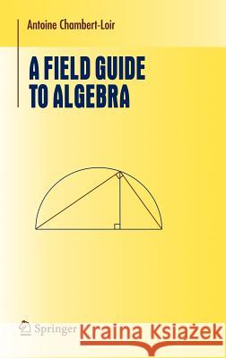 A Field Guide to Algebra Antoine Chambert-Loir 9780387214283 Springer