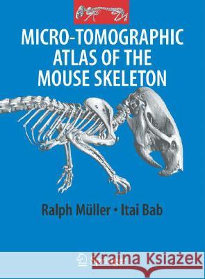 Micro-Tomographic Atlas of the Mouse Skeleton Ralph M]ller Itali Bab Ralph Muller 9780387392547 Springer