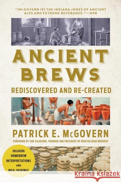 Ancient Brews: Rediscovered and Re-Created Patrick E. McGovern Sam Calagione 9780393356441