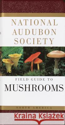 National Audubon Society Field Guide to North American Mushrooms Gary H. Lincoff 9780394519920 Alfred A. Knopf