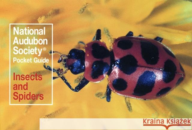 National Audubon Society Pocket Guide: Insects and Spiders Audubon Society                          National Audubon Society                 John, Jr. Farrand 9780394757926