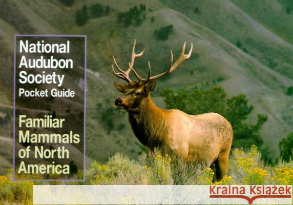 National Audubon Society Pocket Guide to Familiar Mammals National Audubon Society 9780394757964 Alfred A. Knopf