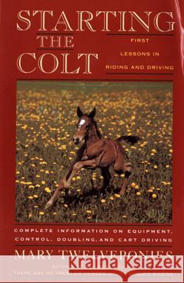 Starting the Colt Mary Twelveponies 9780395631270 Mariner Books