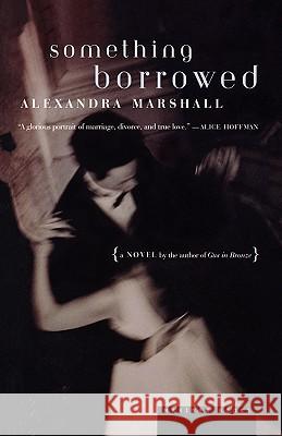 Something Borrowed Alexandra Marshall 9780395924891 Mariner Books