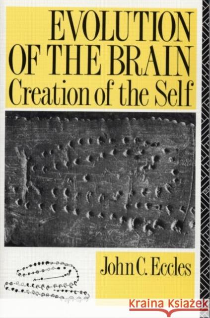 Evolution of the Brain: Creation of the Self John C. Eccles 9780415032247 Routledge