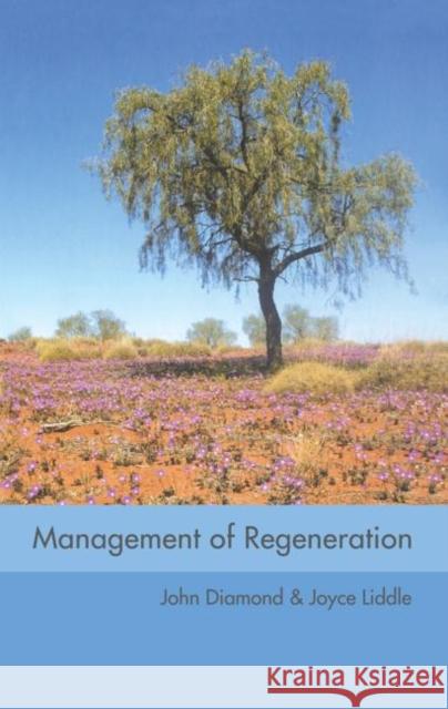 Management of Regeneration : Choices, Challenges and Dilemmas John Diamond Joyce Liddle 9780415334204