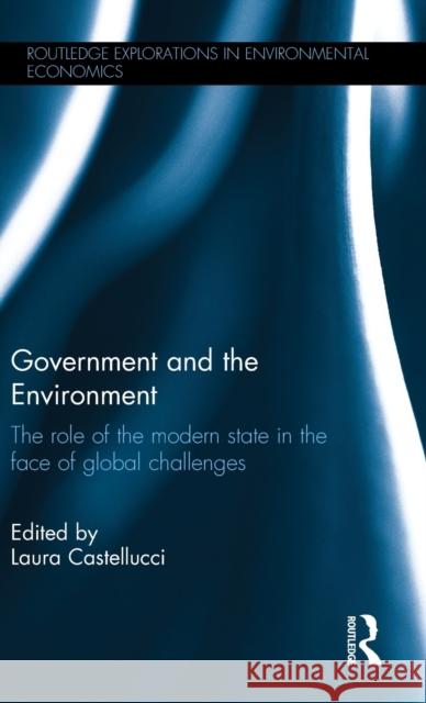 Government and the Environment: The Role of the Modern State in the Face of Global Challenges Castellucci, Laura 9780415633543