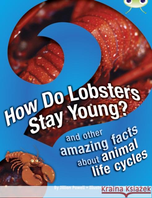 Bug Club Independent Non Fiction Year 3 Brown A How Do Lobsters Stay Young? Powell, Jillian 9780435075781
