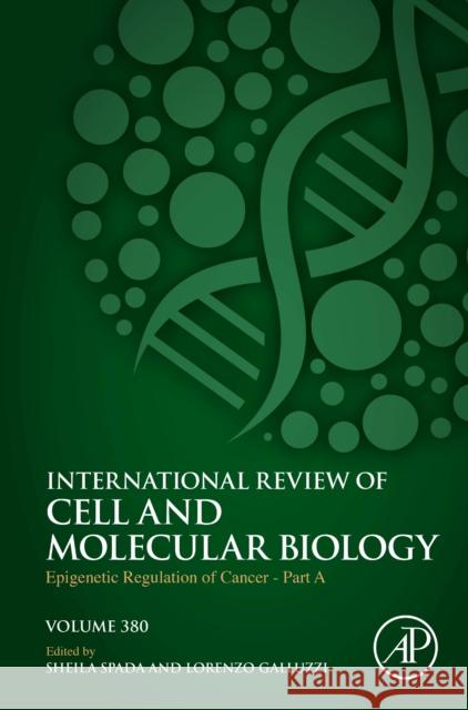 Epigenetic Regulation of Cancer - Part A  9780443221781 Elsevier Science Publishing Co Inc