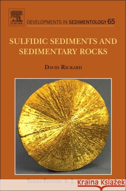 Sulfidic Sediments and Sedimentary Rocks: Volume 65 Rickard, David 9780444529893