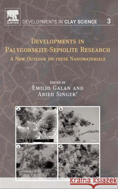 Developments in Palygorskite-Sepiolite Research: A New Outlook on These Nanomaterials Volume 3 Singer, Arieh 9780444536075
