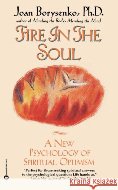 Fire in the Soul: A New Psychology of Spiritual Optimism Joan Borysenko 9780446670159 Warner Books