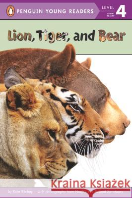 Lion, Tiger, and Bear Kate Hurley 9780448483368 Penguin Young Readers Group