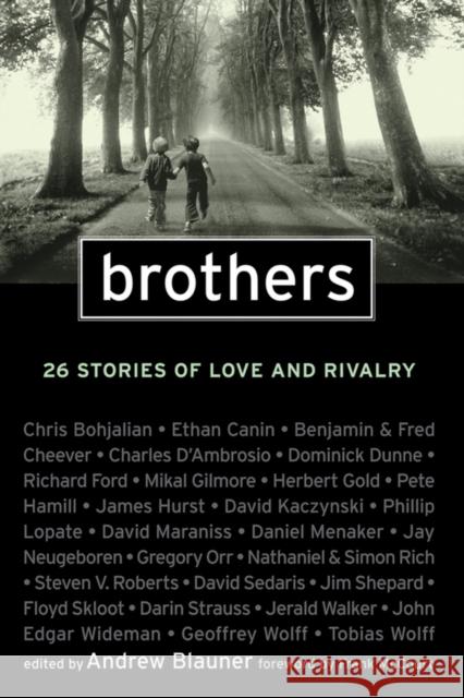 Brothers: 26 Stories of Love and Rivalry Blauner, Andrew 9780470599648