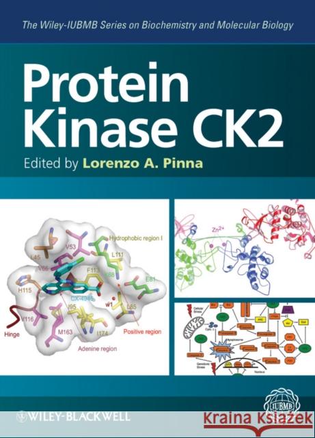 Protein Kinase Ck2 Pinna, Lorenzo A. 9780470963036